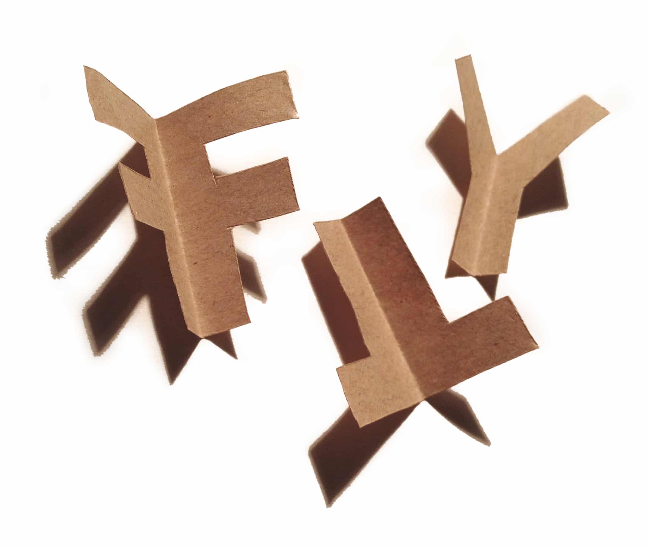 denkFrank Word of the week FLY